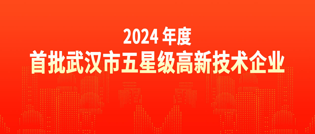 3777金沙娱场城荣获“2024年度首批武汉市五星级高新技术企业”荣誉称号