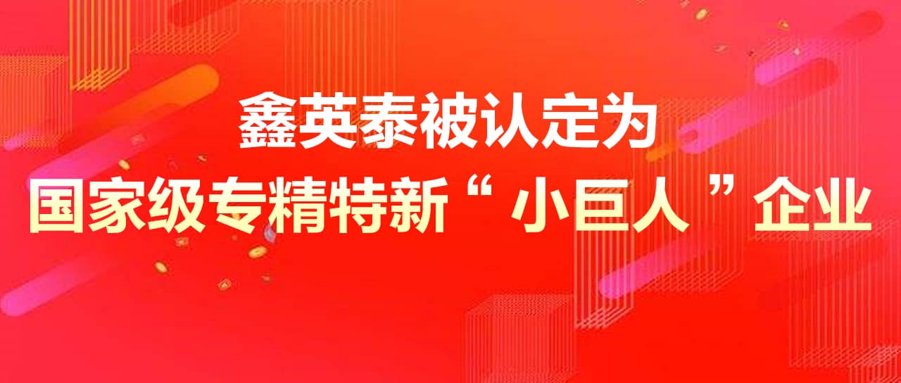 3777金沙娱场城被认定为国家级专精特新“小巨人”企业
